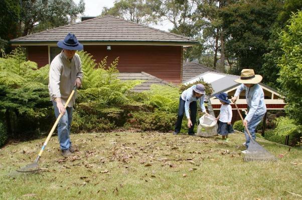 Backyard Maintanence