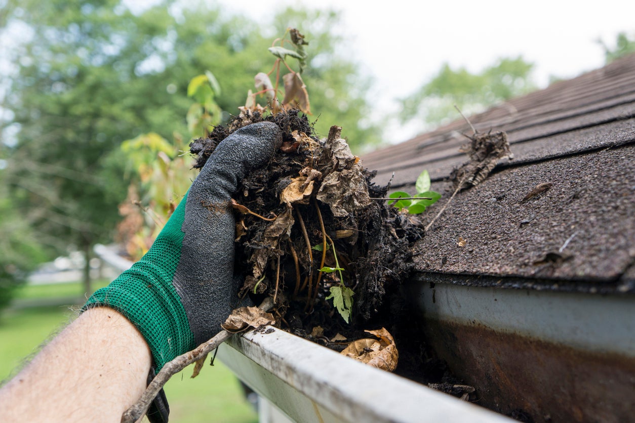 Gutter Cleaning Sydney